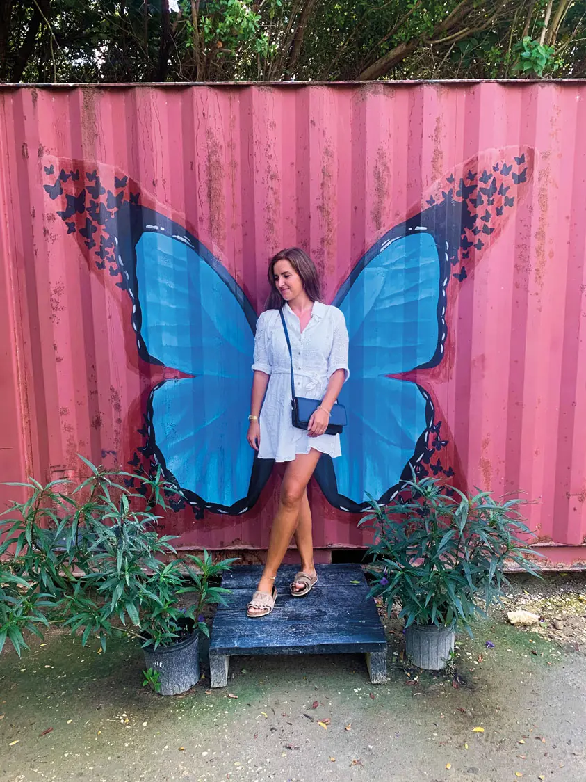 butterfly farm
